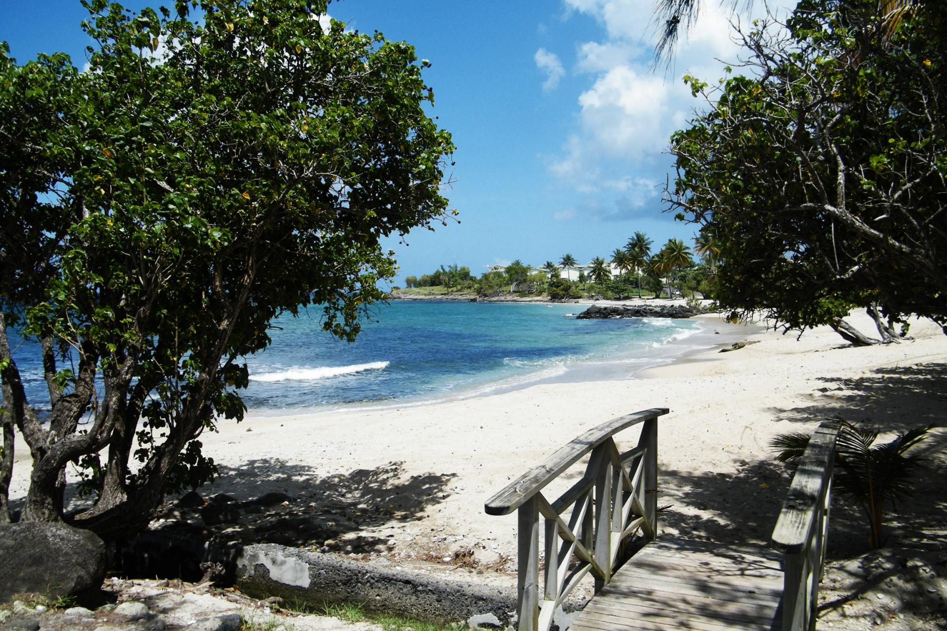 Plage de Martinique